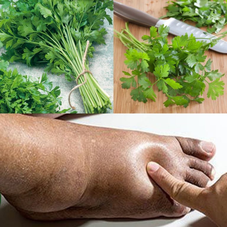 A Natural Way To Lessen Water Retention With Parsley 768x768 1