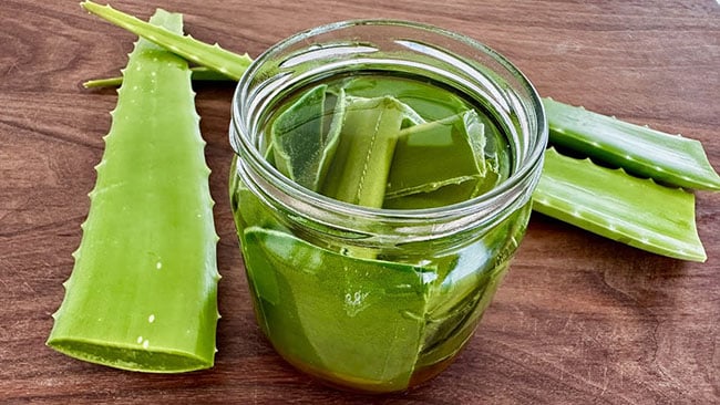 Recettes Aloe Vera 650 (1)