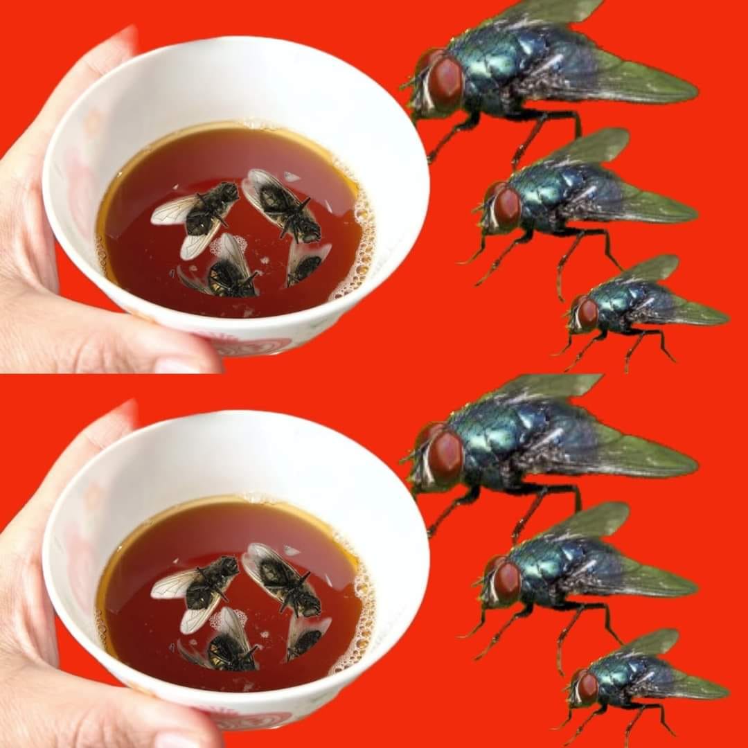 454648358 2890542257771418 2517330309186647769 N (2)