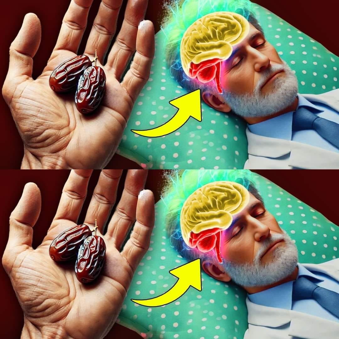 460973205 1097395571812132 407053560619966215 N