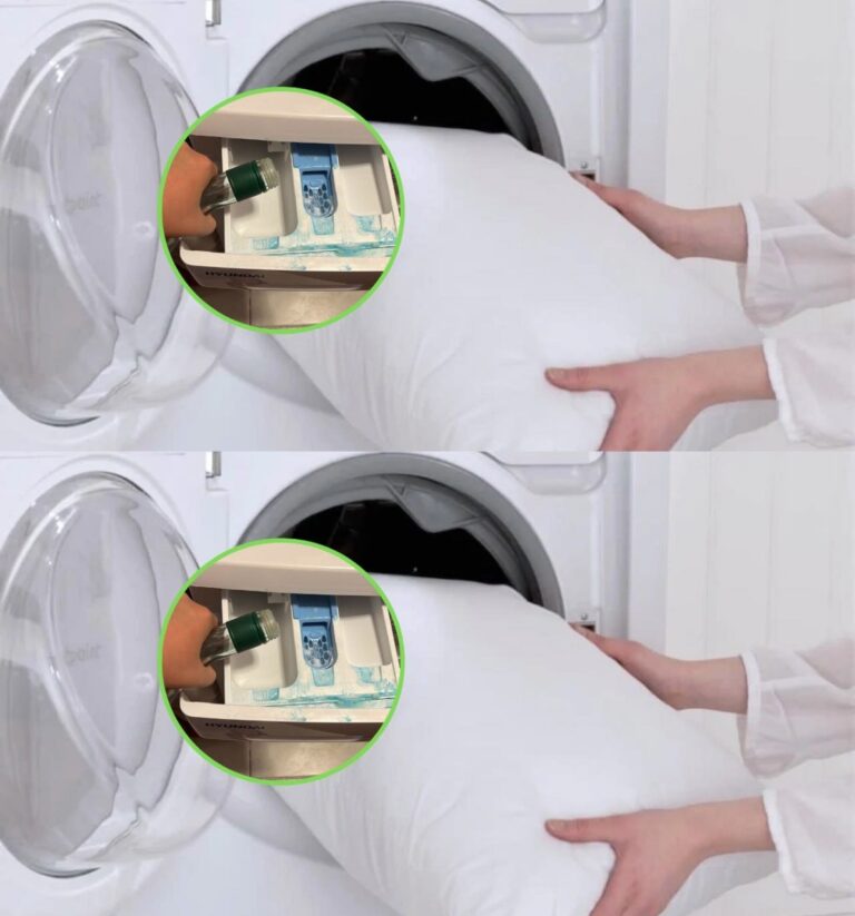461863079 461631570248987 6959256557338256816 N