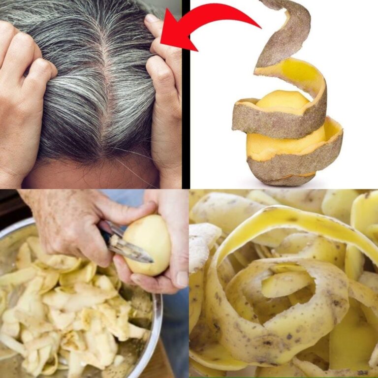 461954943 461653053580172 7612543190103408271 N