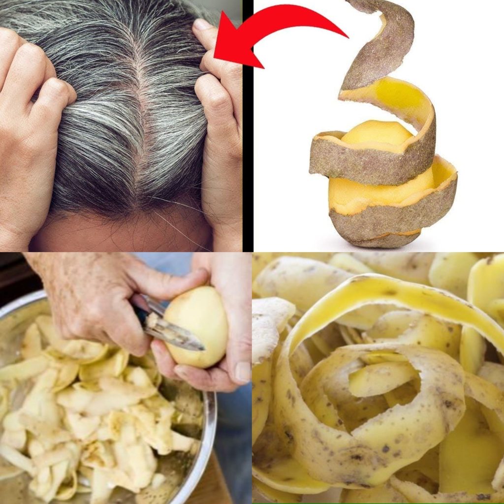 461954943 461653053580172 7612543190103408271 N