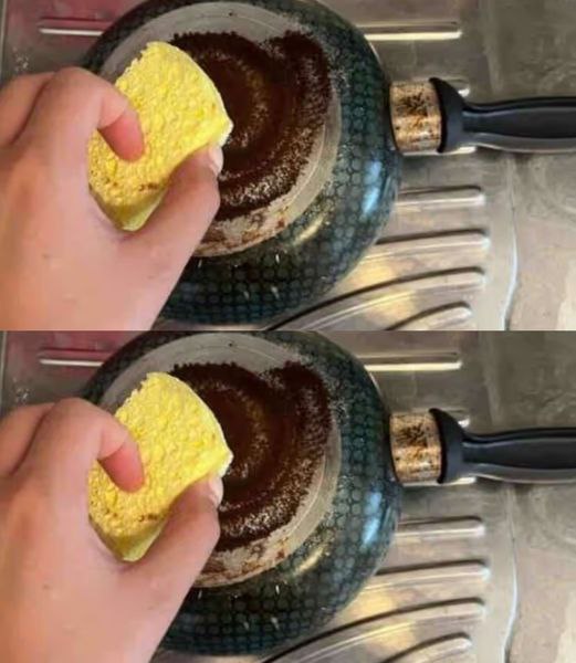 462609061 467759892969488 6353094937598026886 N