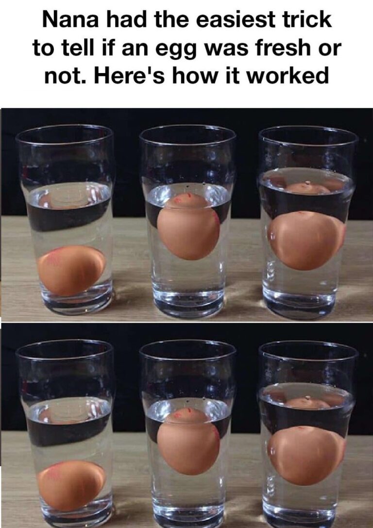 462695324 466372539774890 7899416365516370406 N