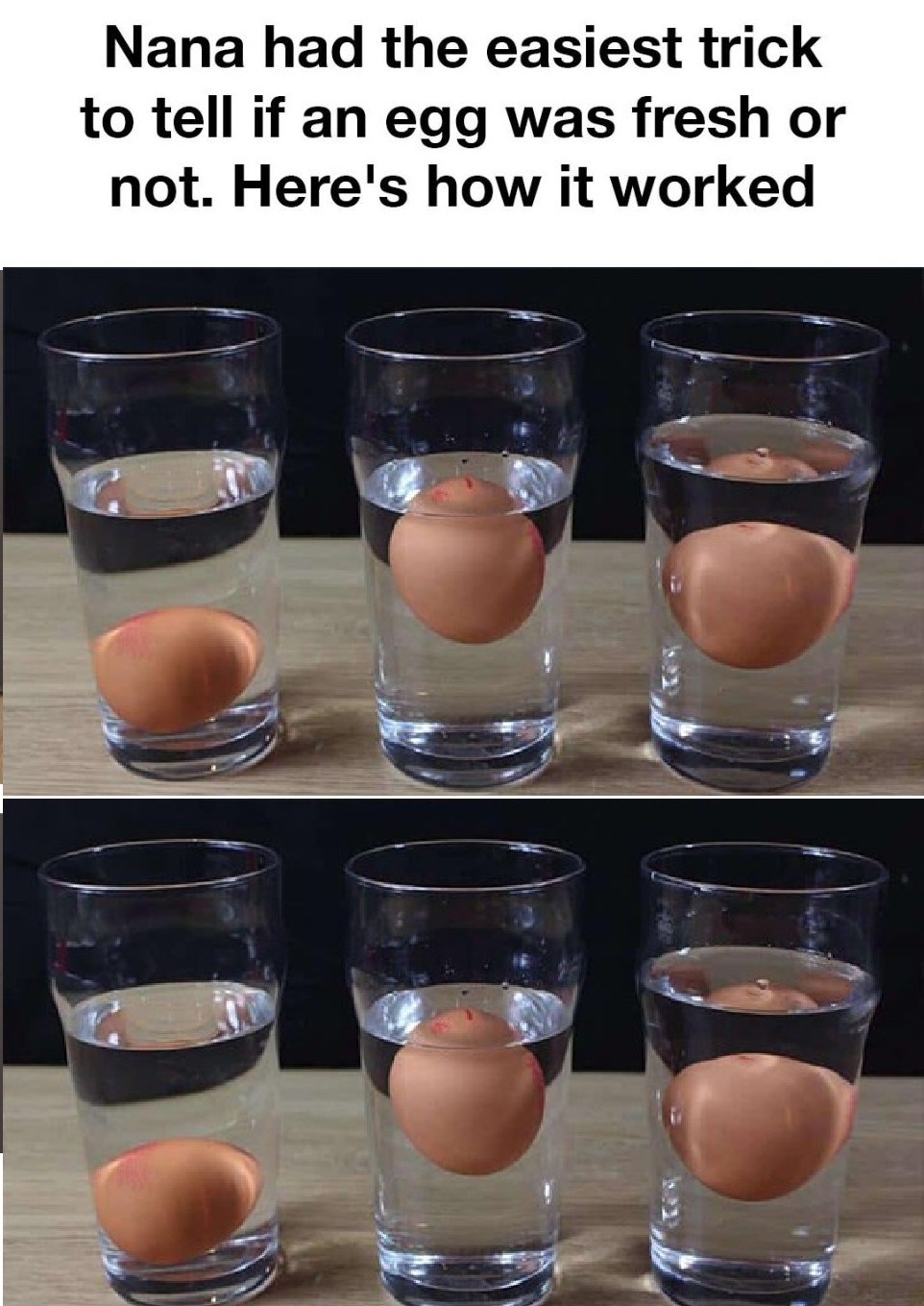462695324 466372539774890 7899416365516370406 N
