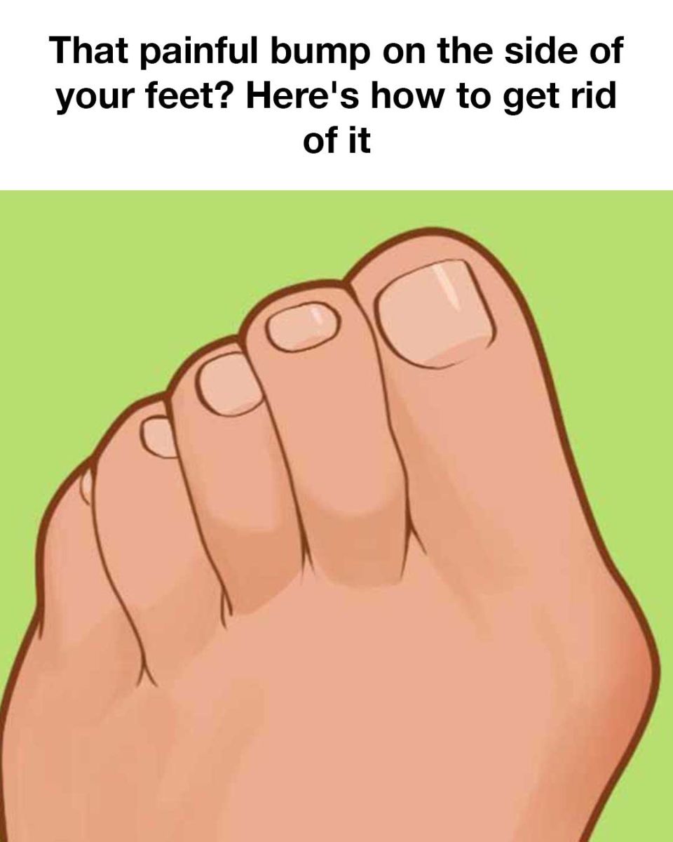 462746329 857261263278466 2973839605766520316 N