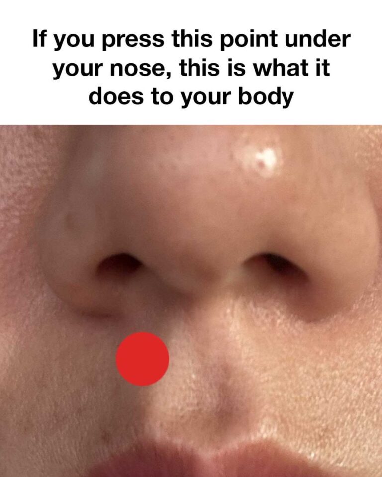 462911943 8668324919877762 4004340385266858944 N