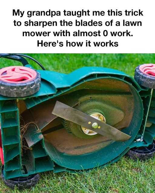 463617864 471677572577720 6112036906648423014 N