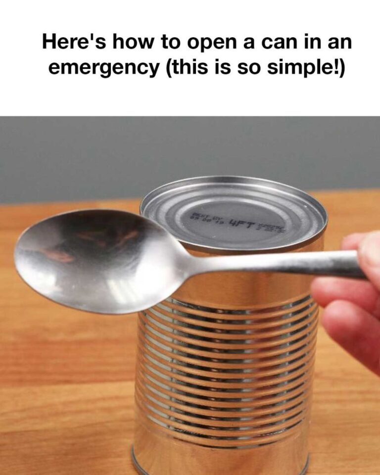 463855914 472563755822435 5031059000461081559 N