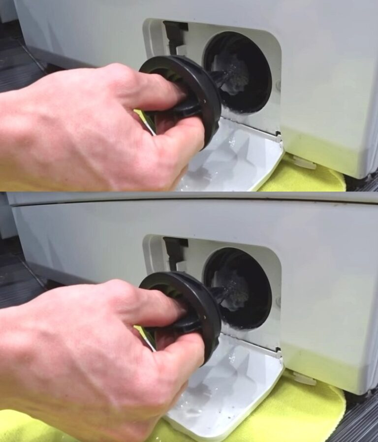464803131 481335554945255 5607847284029491611 N