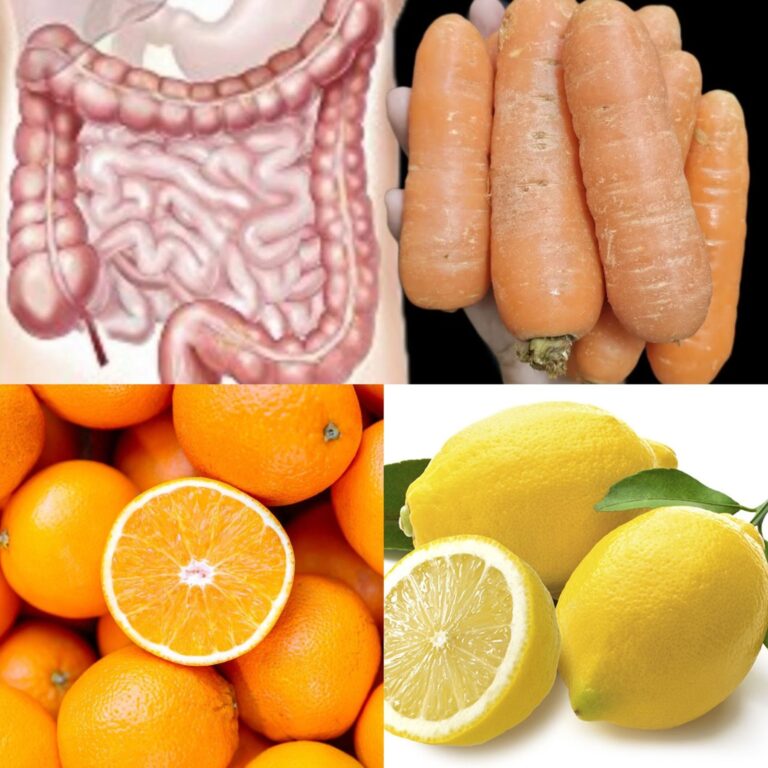462756707 858833483121244 8759628956421174831 N