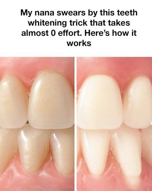 464913109 482393991506078 205756668036429400 N