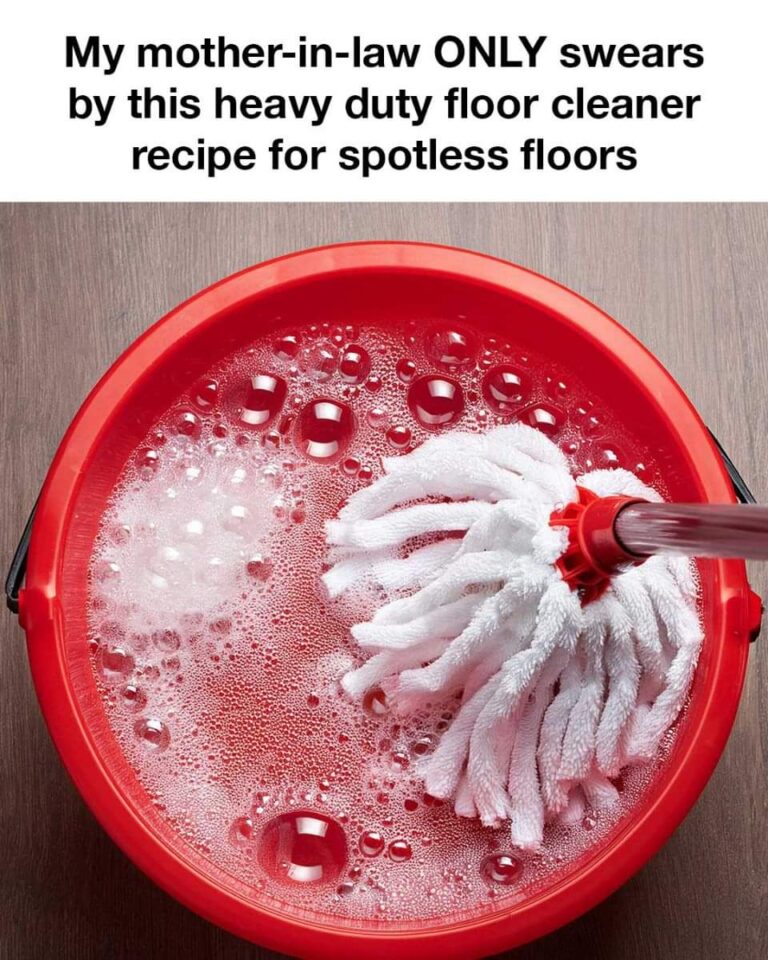 465450532 122206338620067439 3885005697035489232 N (1)