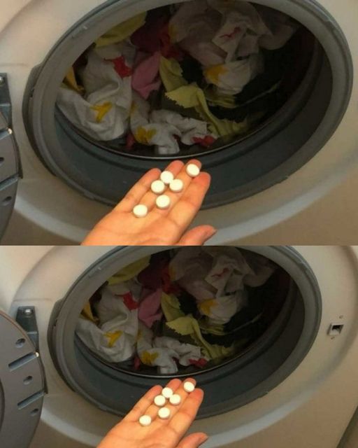 466104062 491142143964596 7990442217925523638 N
