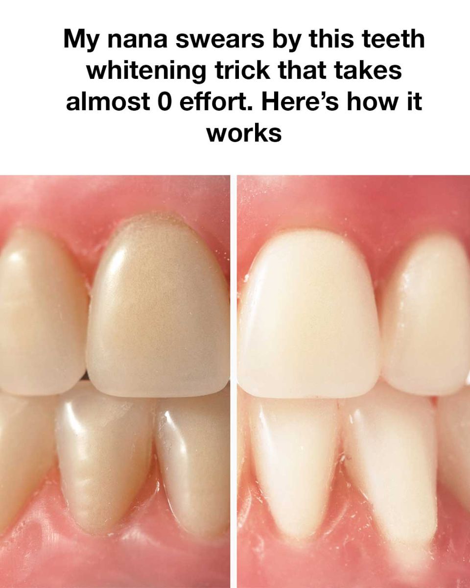 466125987 8842973365746249 7843560658029099082 N