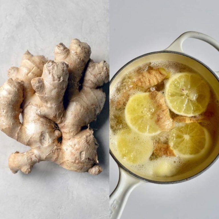 467468458 122209934606067439 1521011303206270252 N