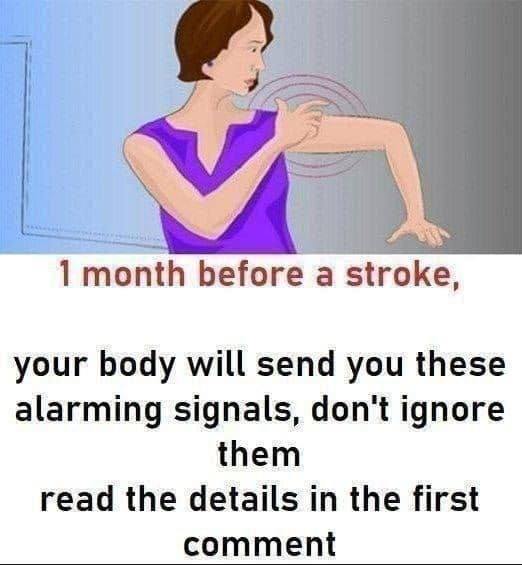 467779420 500535066358637 7629470617035045117 N (2)