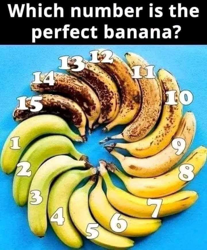 468280322 502681989477278 5266474716498566307 N