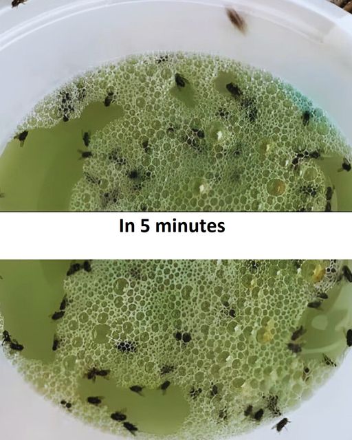 468807181 504605979284879 695669605176963065 N (1)