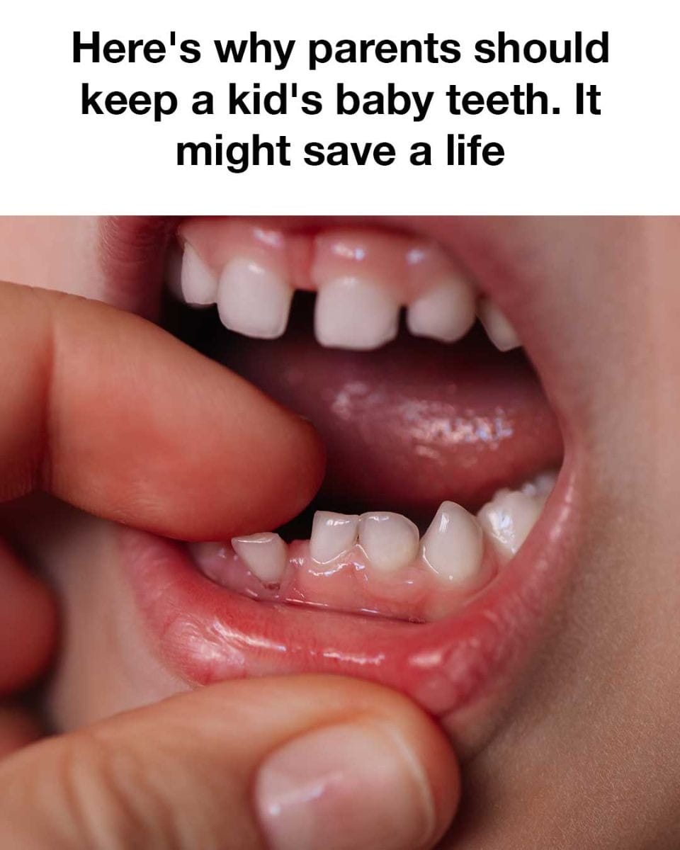 468888198 8959157537461164 7576702616359302360 N