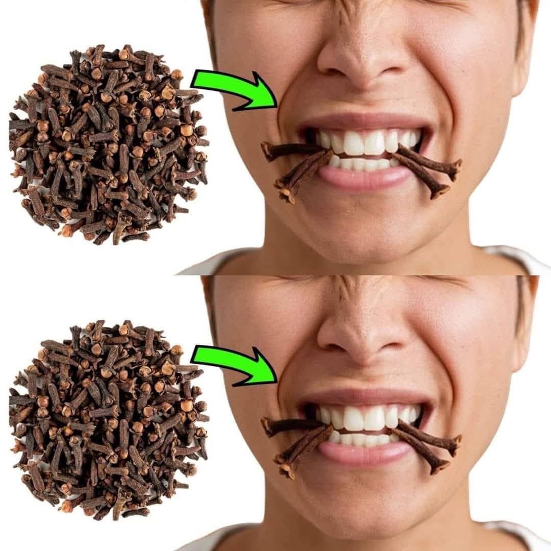 469173318 122212493534067439 4649534623004690807 N
