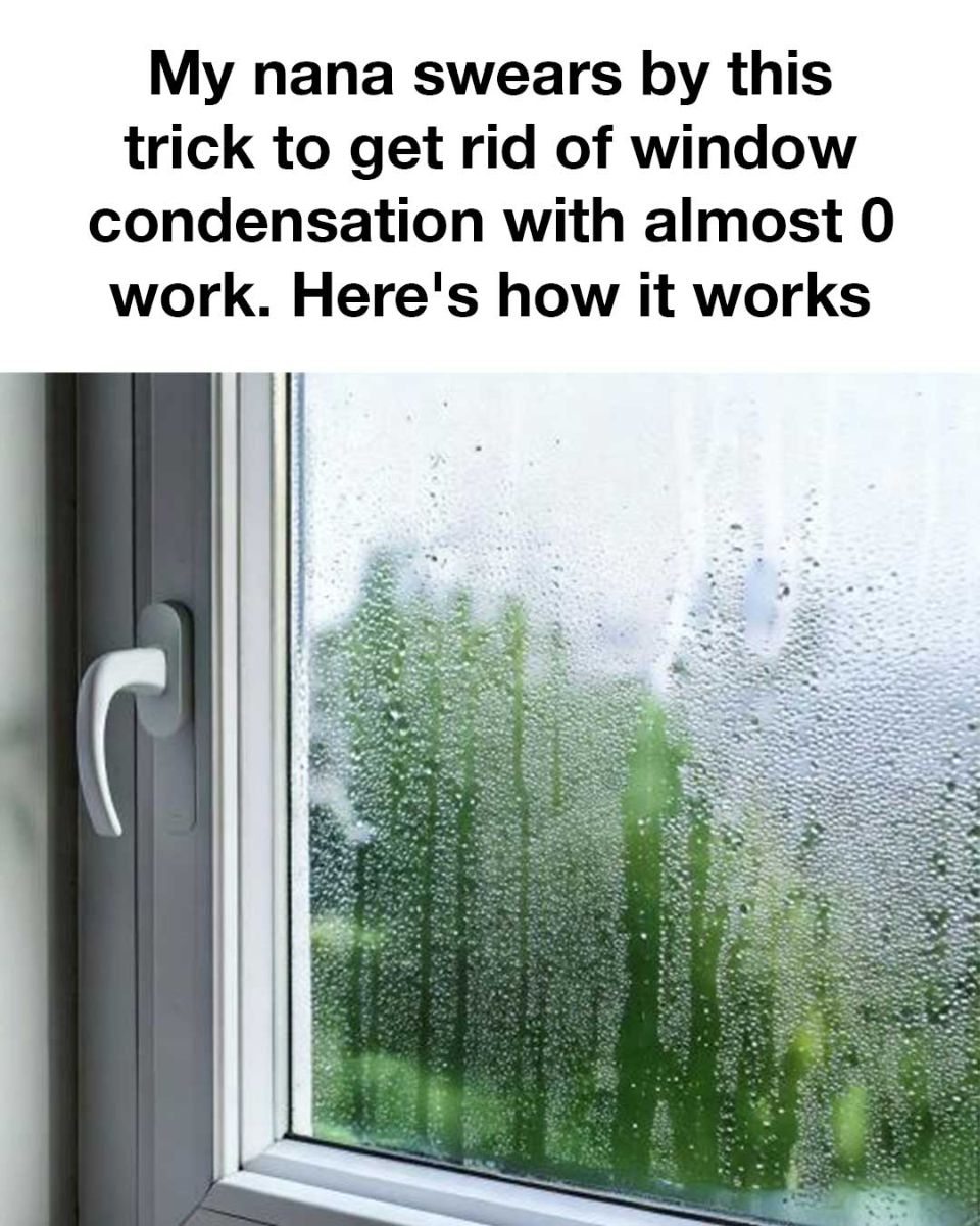 494582298 618925491186260 5602802889703097999 N