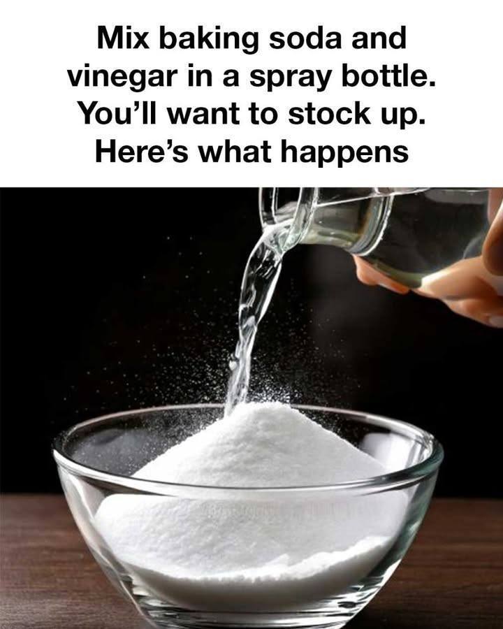 499979619 122229526382060745 2951749331422399613 N