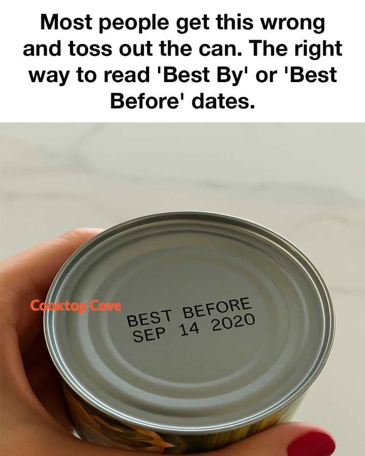 505354345 122232771968060745 4458188763714239926 N
