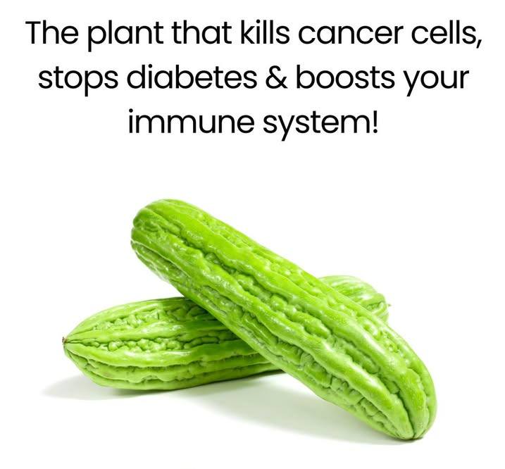 506293512 122233443344060745 6770652697361237667 N
