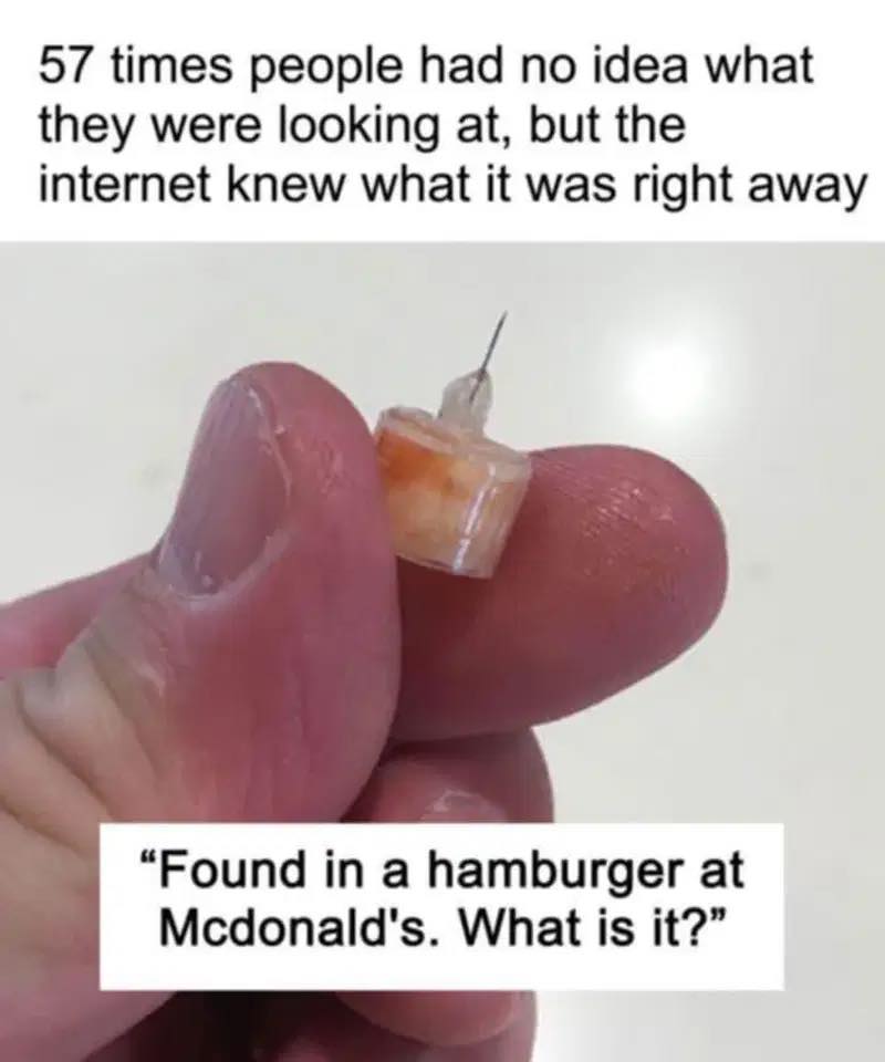 506918713 122233432370060745 6634228459778994052 N