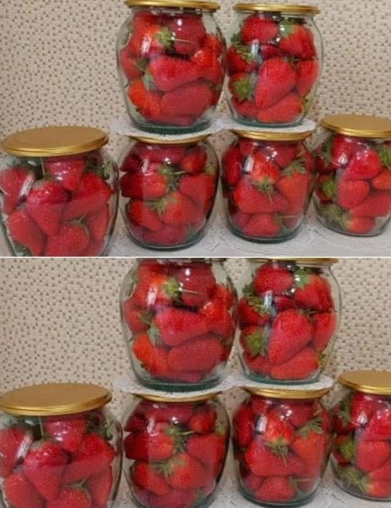 511277843 719144584053394 2570799685057253209 N