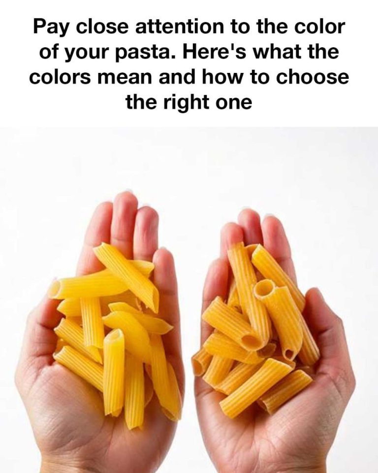 512499209 122234987888060745 5572085334137649348 N