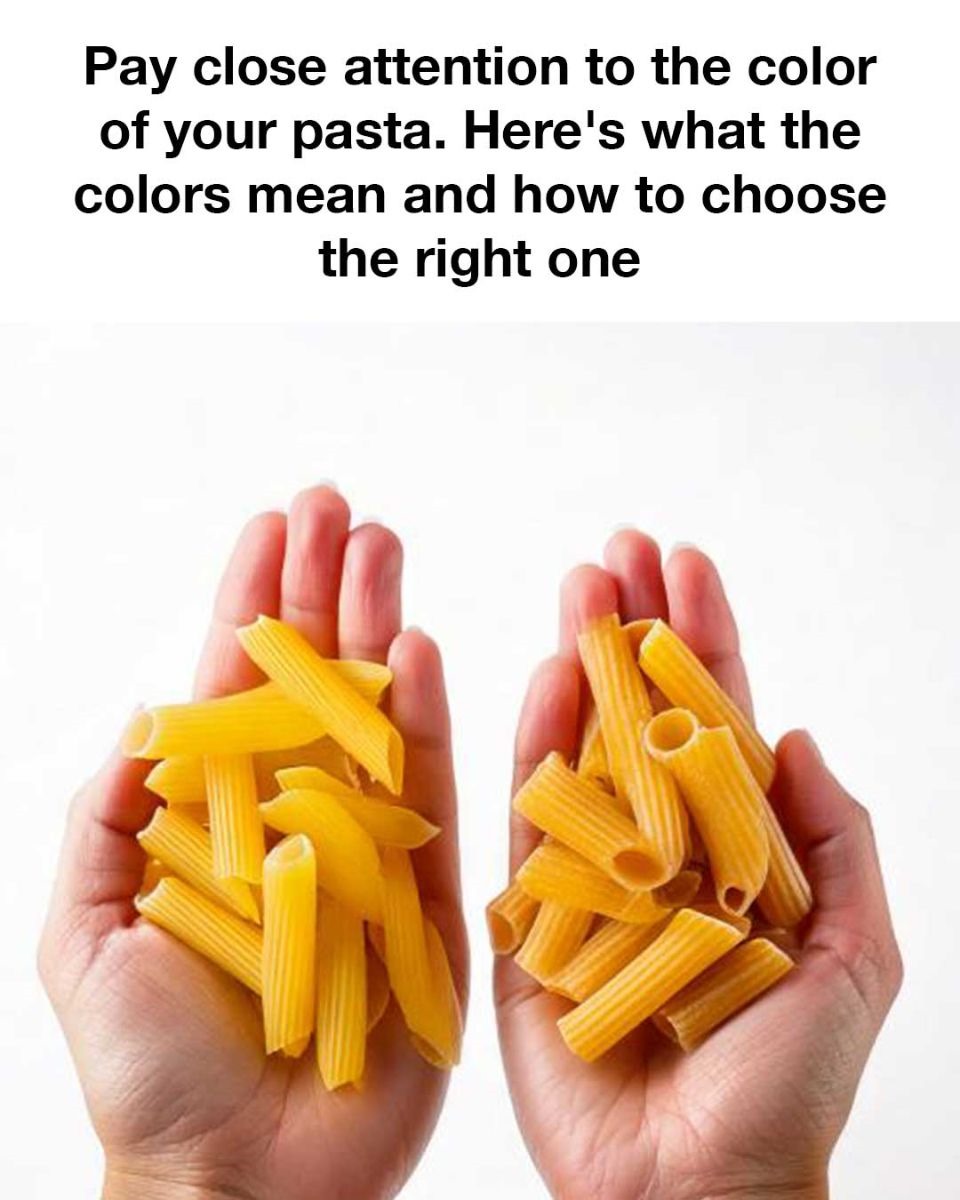 512499209 122234987888060745 5572085334137649348 N