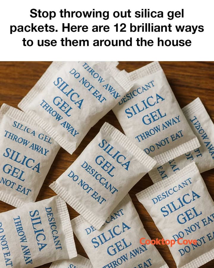 500738273 1135012975336748 3735761288296116580 N
