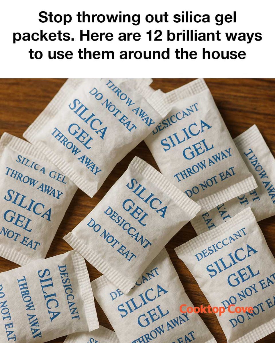 509967203 1237311778187535 1137313201058955560 N