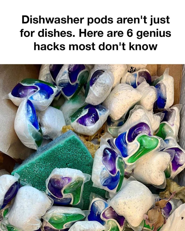 514221204 122236275368060745 1598973337704472462 N