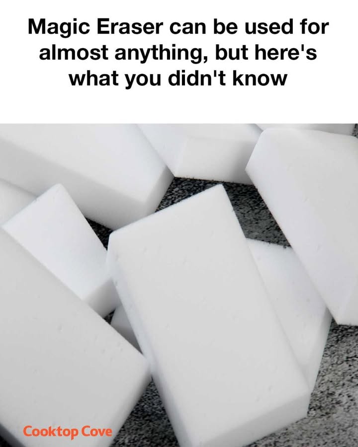 516380989 1165396278965084 3425564639627764923 N