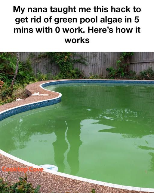 524740026 122241028400060745 8072328409607899790 N