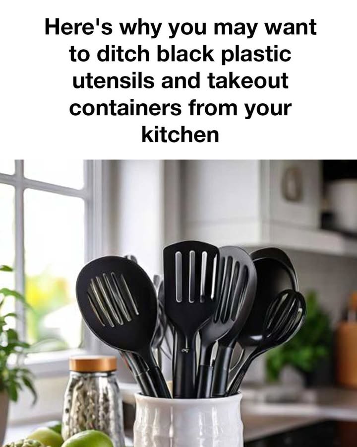 486376383 1184920566754236 3323694049565121507 N