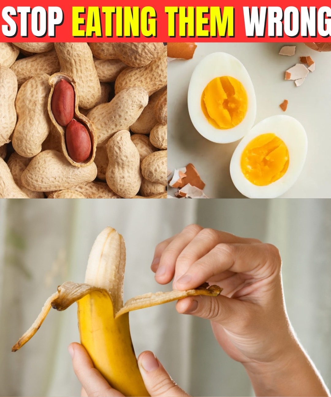 493940826 681420801495534 3886409830705020309 N
