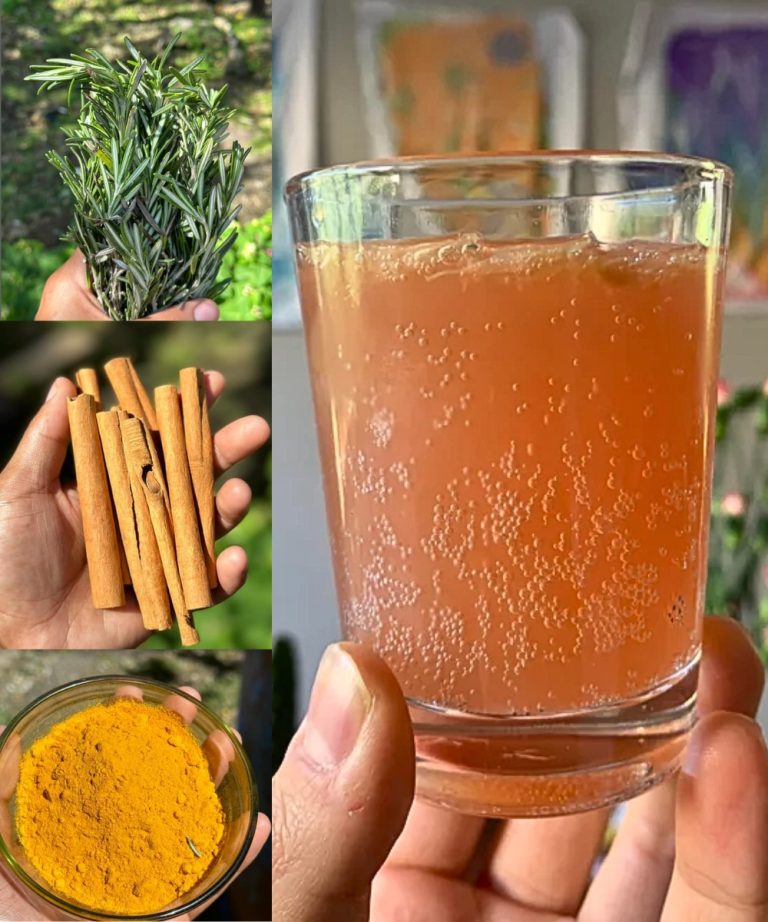 499371891 671913912295464 3960578189601920178 N