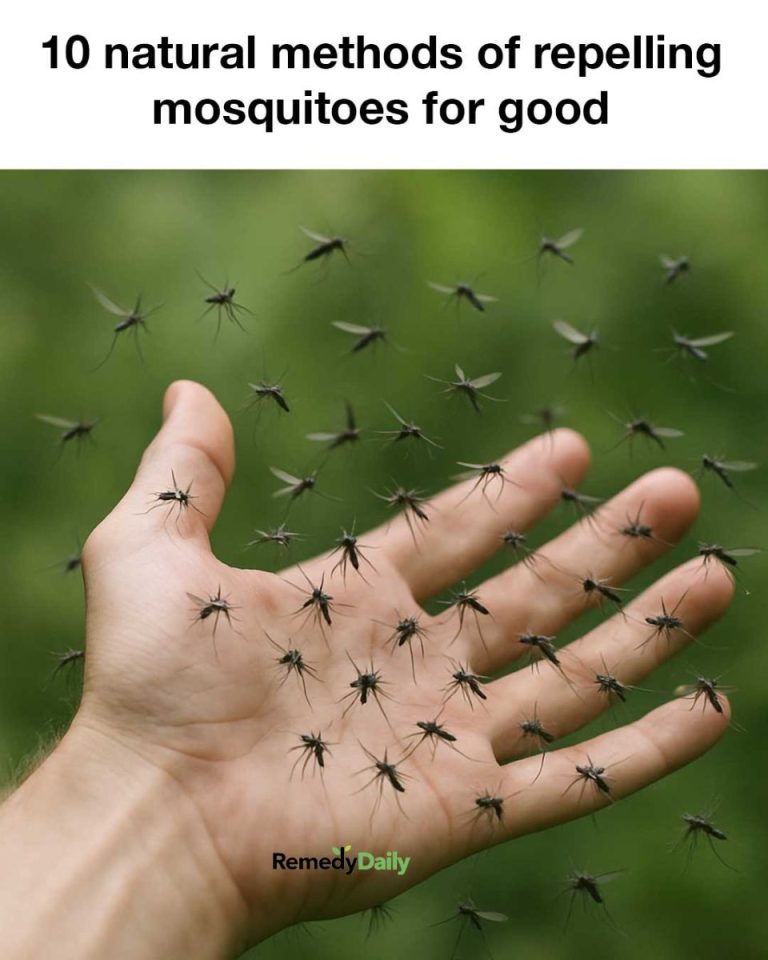 499794915 1228042629108696 6595430748451178490 N