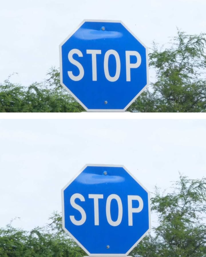 510997611 1154765070028205 8001097102037429945 N
