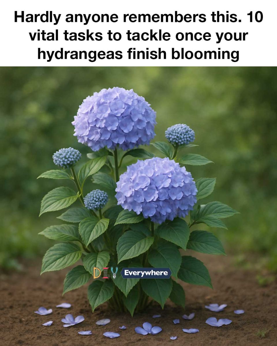 515509680 1210797207511522 3501253322211728676 N