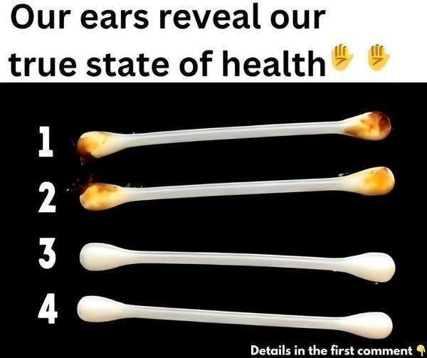 523490124 122170444436478581 1411519380264890920 N