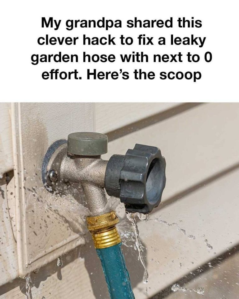 523532782 801675808850922 4462497250719648576 N