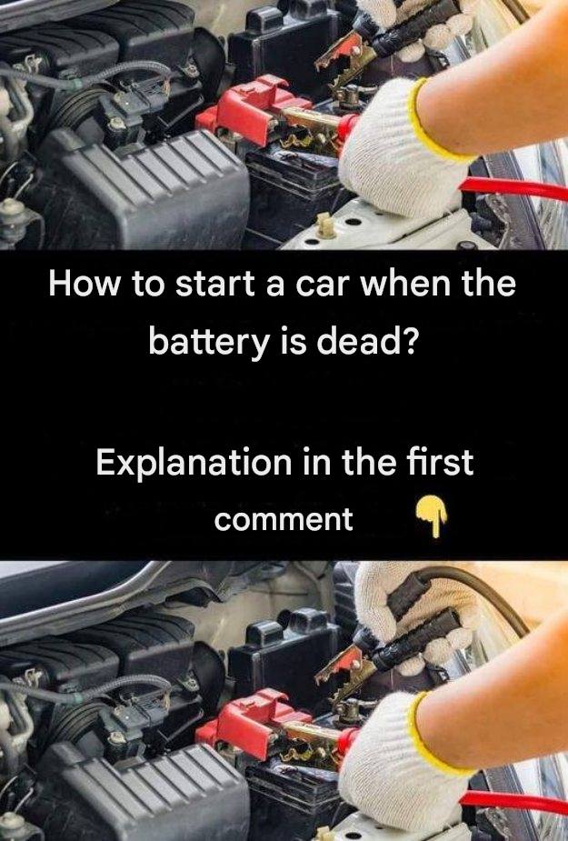 527887795 122201093828093586 8250906622508606733 N