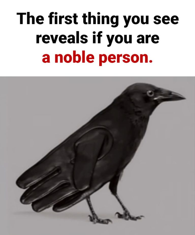 534392331 122244110918060745 4450066172450893926 N