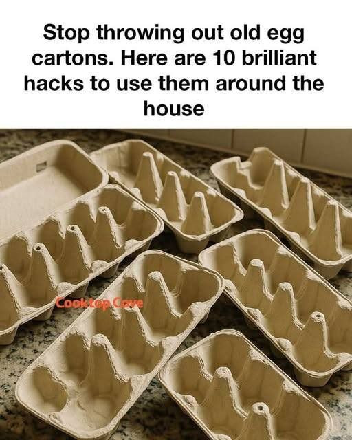 535475812 711402051938603 8552522737092050769 N
